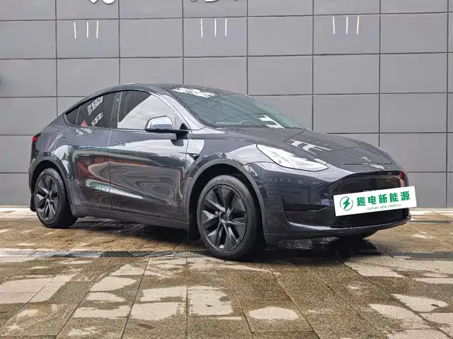 Tesla Model Y 2024 Rear-Wheel Drive Version — фото 3