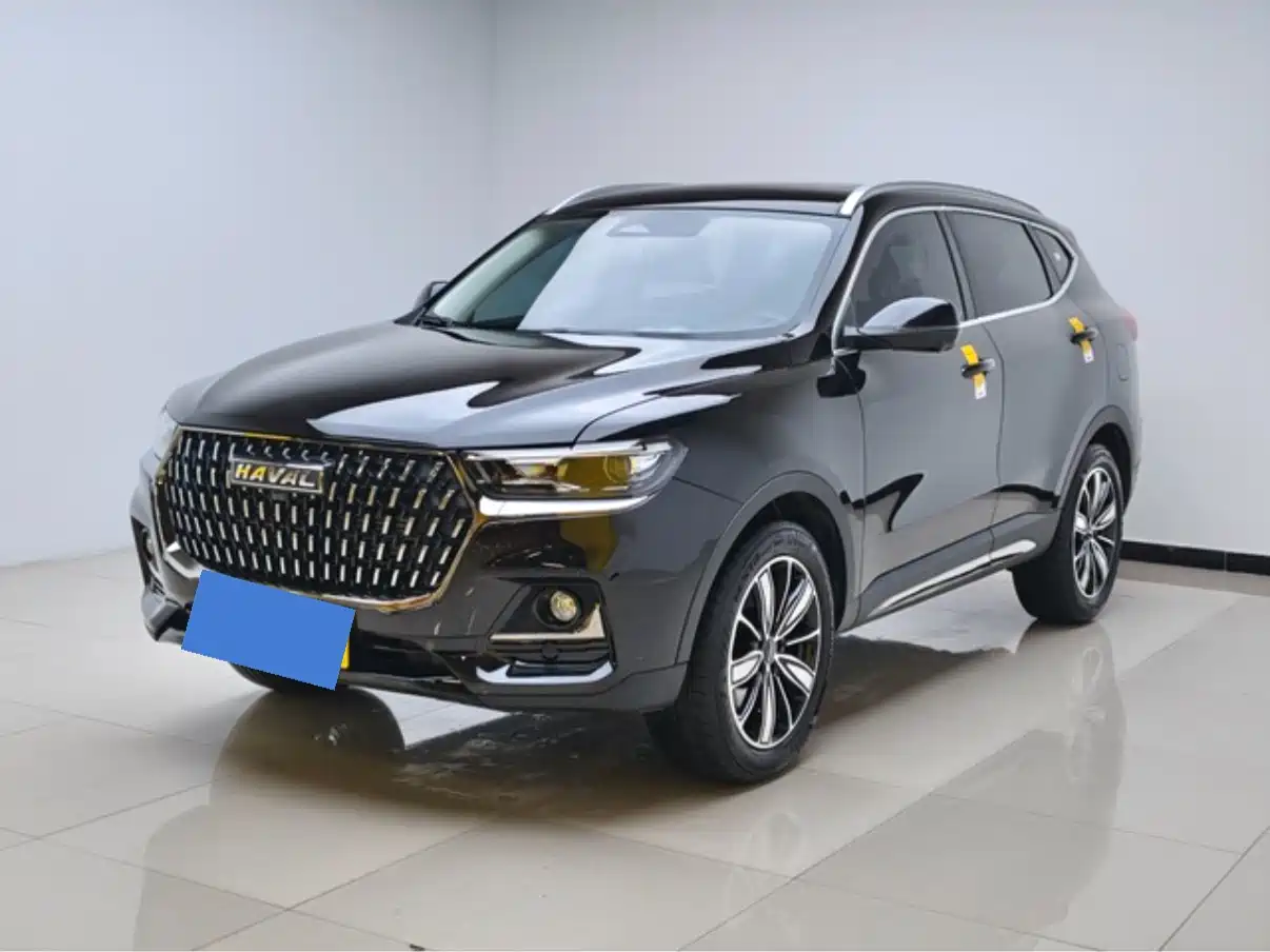 Haval H6 2023 National Trend Edition 1.5T Automatic Champion