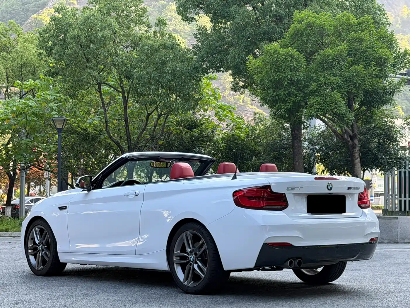 BMW 2 Series (Import) 2018 225i Convertible Coupe Premium M Sport Package фото 17