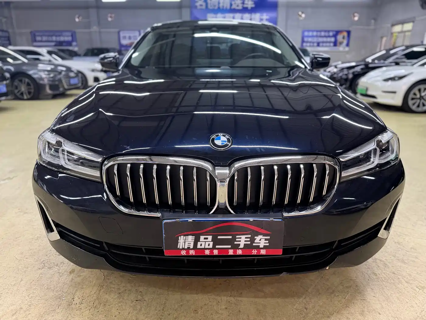 BMW 5 Series 2021 530Li Leading Luxury Package фото 2