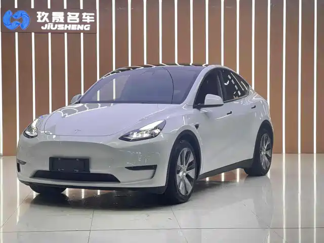 Tesla Model Y Стандартный запас хода, задний привод