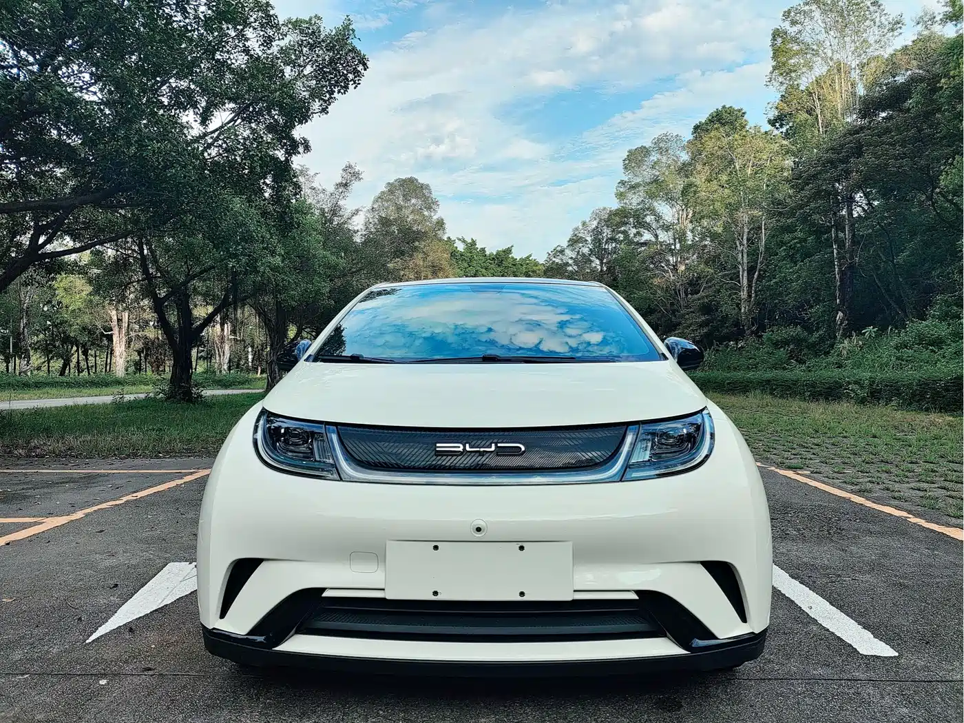 Фото 2 - BYD Dolphin