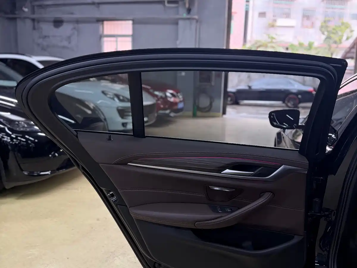 BMW 5 Series 2021 530Li Leading Luxury Package фото 17