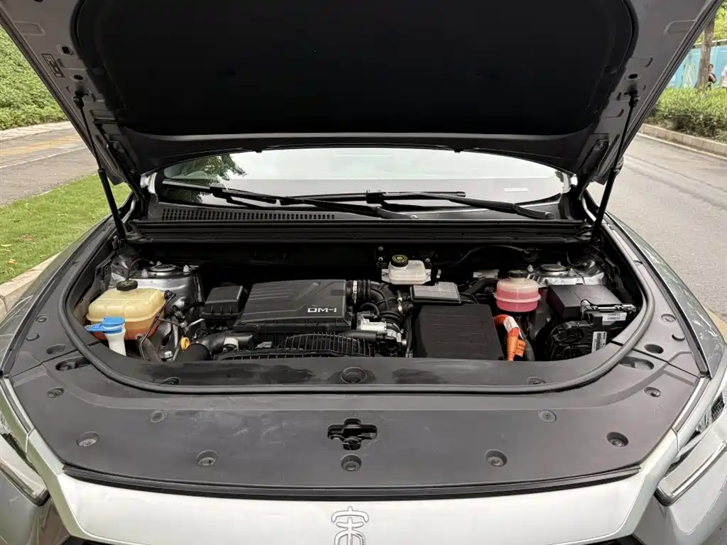 BYD Song Pro New Energy 2022 DM-i 51km Luxury фото 6