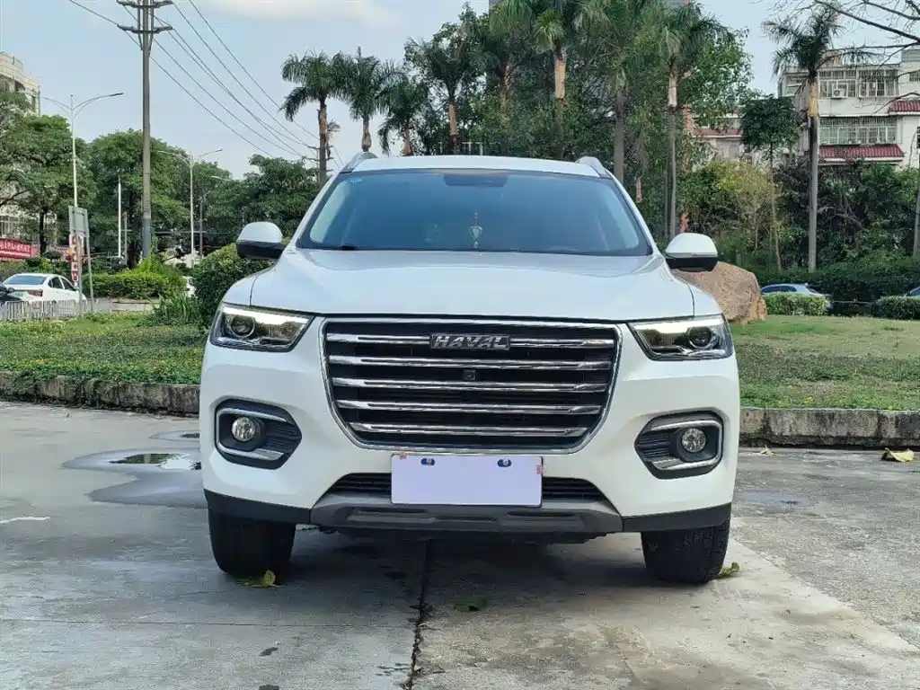 Haval H6 2020 1.5GDIT Automatic Platinum Champion Edition фото 4