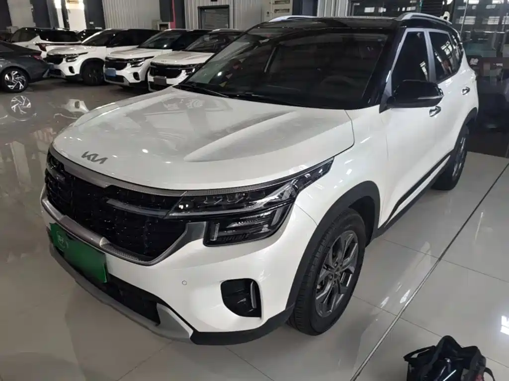 Kia Seltos 2024 2023 1.5L CVT Luxury Edition