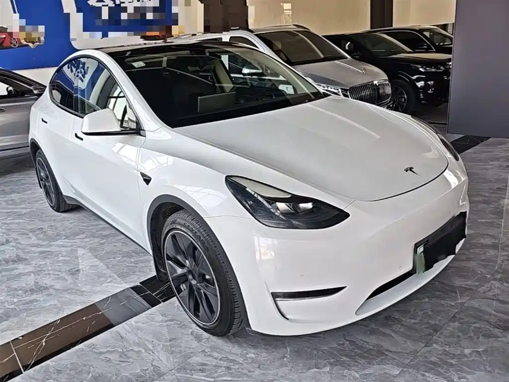 Tesla Model Y 2021 2021 Long Range All-Wheel Drive 3D7