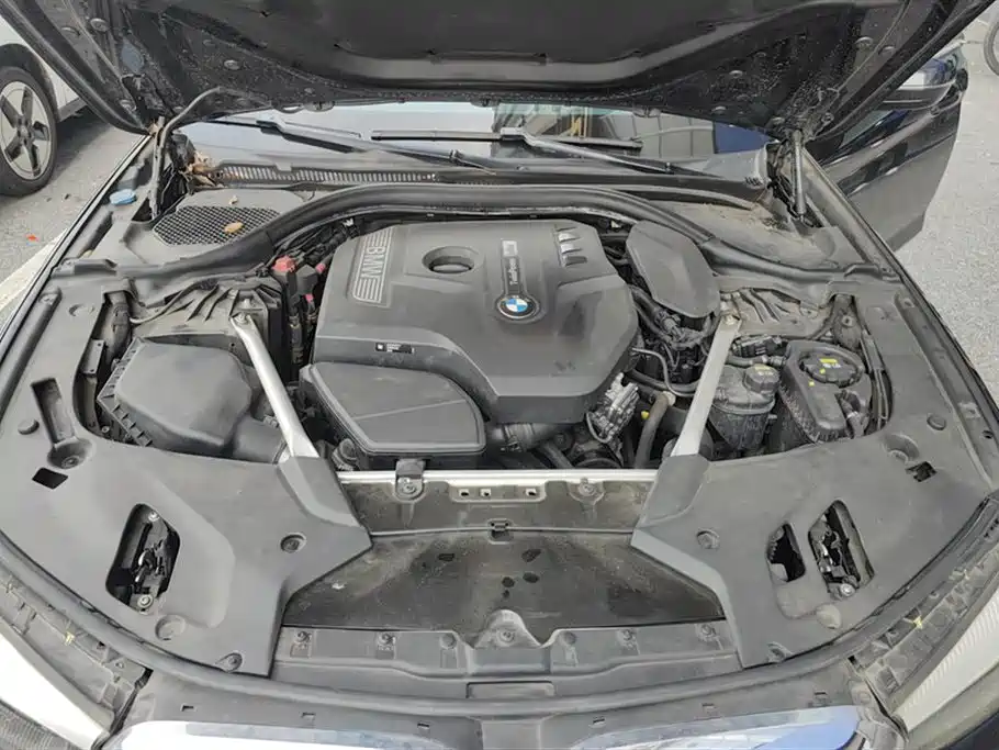 BMW 5 Series 2019 530Li Leading Luxury Package фото 10