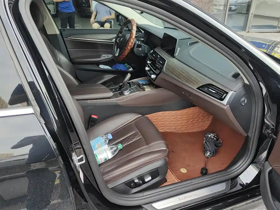 BMW 5 Series 2019 530Li Leading Luxury Package фото 8