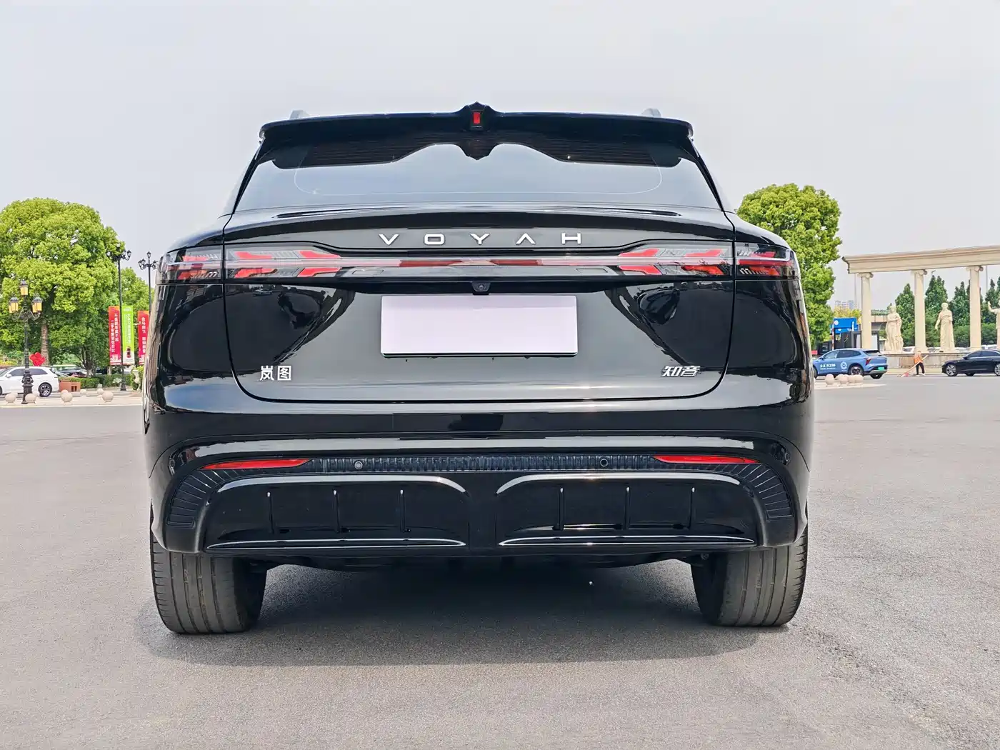 Voyah Auto Voyah Zhiyin 2024 Long Range Smart Edition фото 9