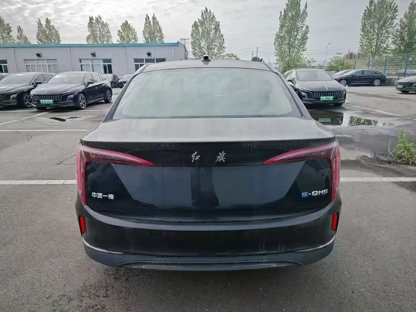 Hongqi E-QM5 2022 431km Charging Enjoyment Edition фото 8