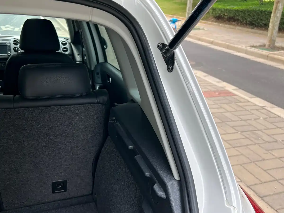 Volkswagen Tiguan 2010 1.8TSI Automatic 4WD Elite фото 28