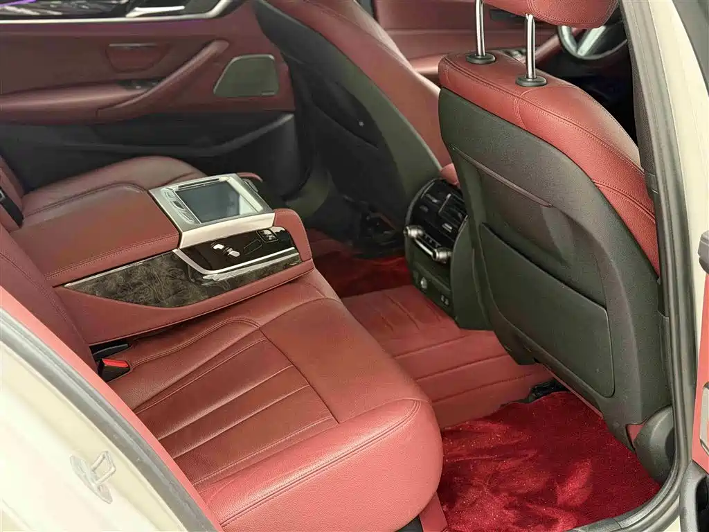 BMW 5 Series 2020 530Li Exclusive M Sport Package фото 10