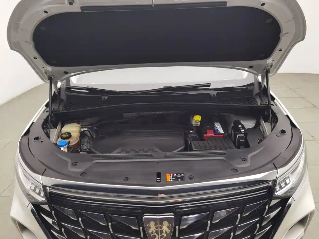 Roewe iMAX8 2024 2023 400TGI Comfort Edition