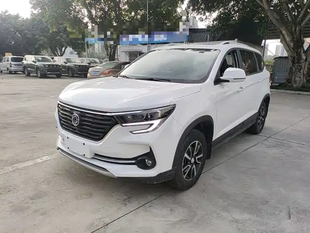  Dongfeng Fengxing Fengxing T5 2021 1.6L Manual Comfort