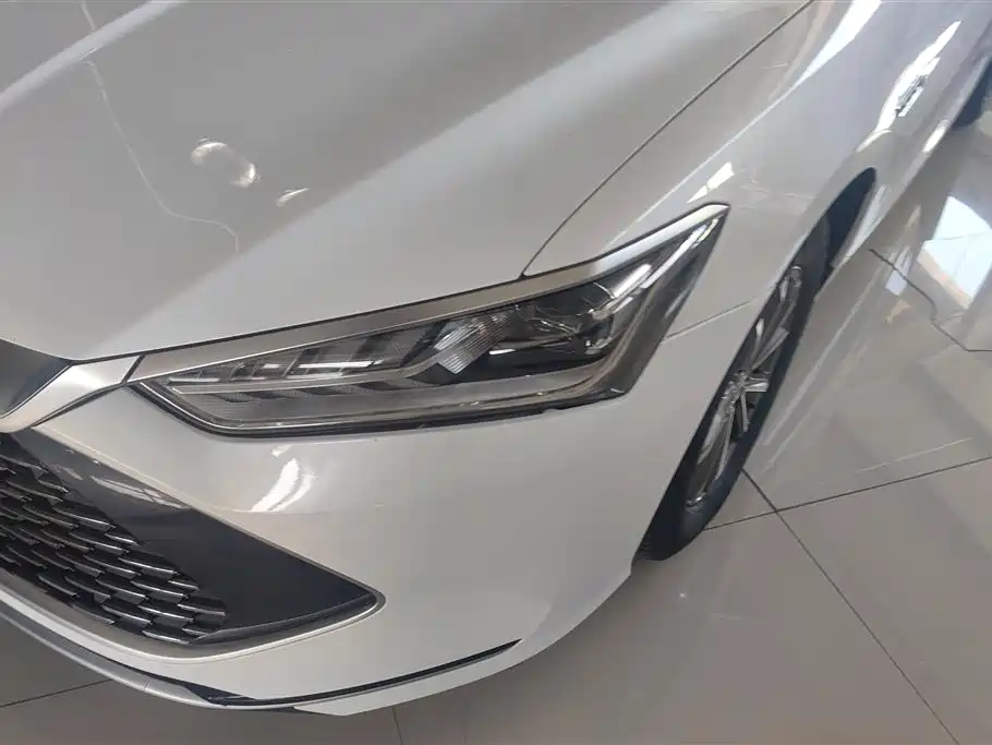 BYD Qin PLUS 2023 Champion Edition DM-i 55KM Leading фото 5