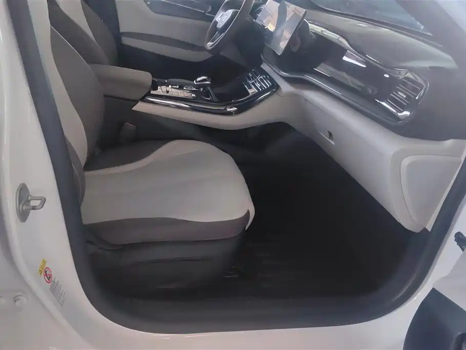 BYD Qin PLUS 2023 Champion Edition DM-i 55KM Leading фото 8