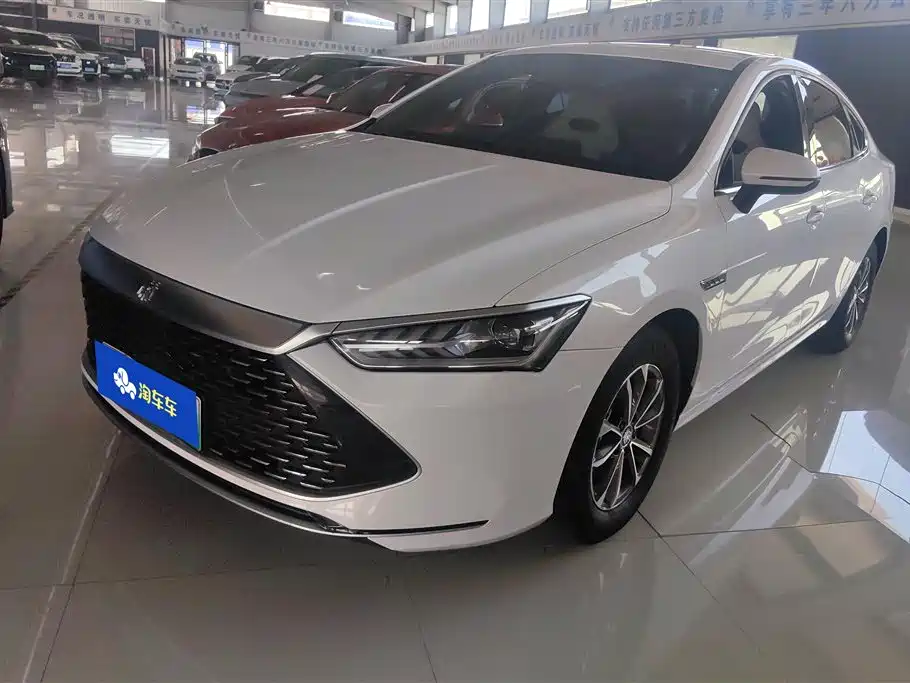 BYD Qin PLUS 2023 Champion Edition DM-i 55KM Leading