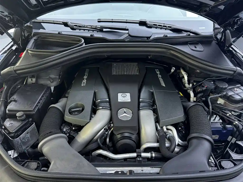 Mercedes-Benz GLS AMG 2017 AMG GLS 63 4MATIC фото 10