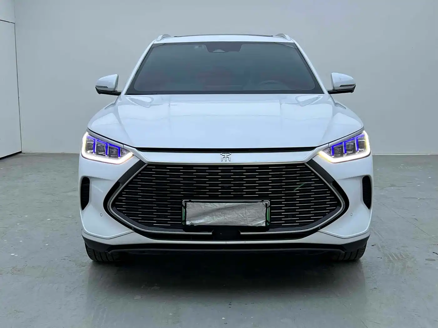 BYD Song PLUS PHEV 2021 DM-i 110KM Flagship PLUS фото 2