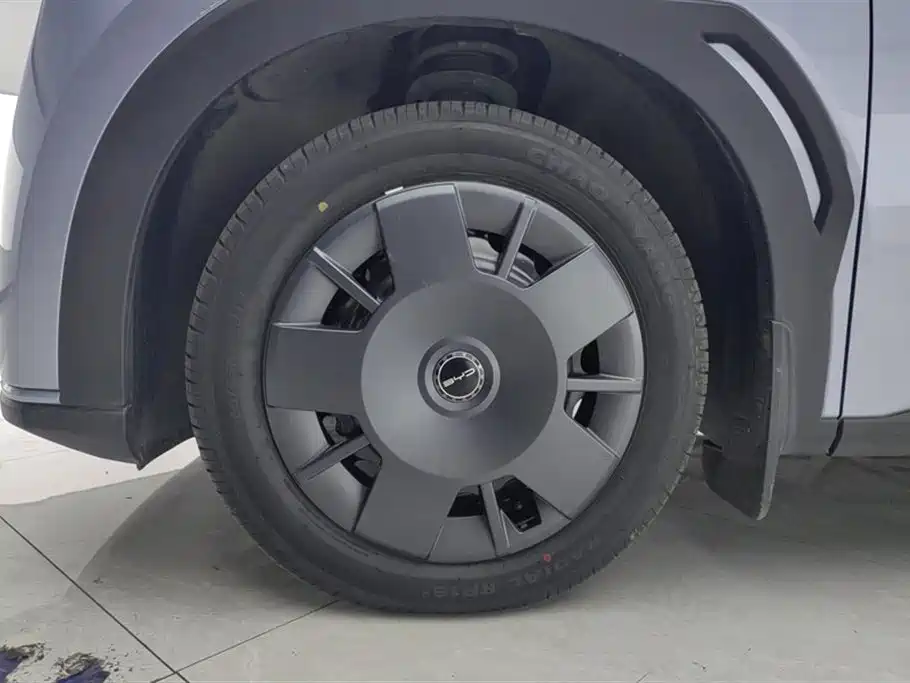 BYD Seagull 2024 Glory Edition 305km Vitality Edition фото 6