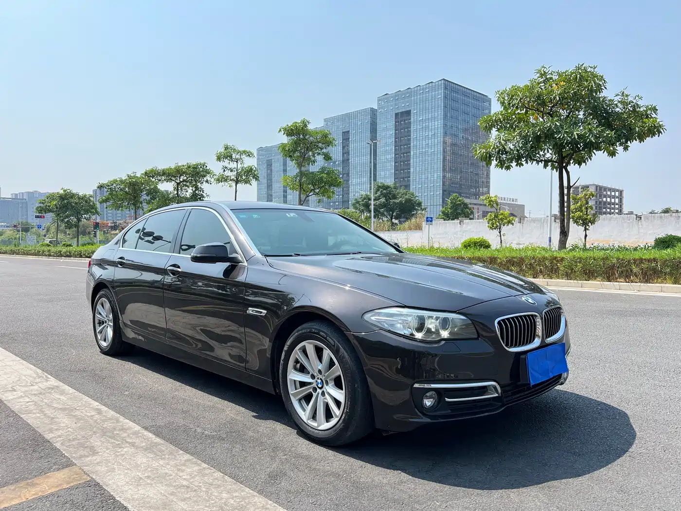 BMW 5 Series 2014 520Li Elegance фото 3