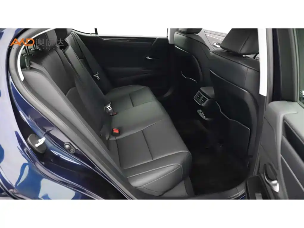 Lexus ES 2020 Model 260 Excellence Edition фото 8
