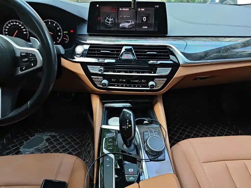BMW 5 Series 2019 530Li Leading M Sport Package фото 6