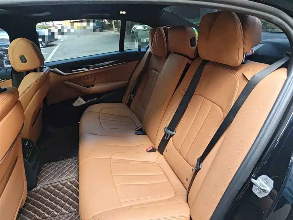 BMW 5 Series 2019 530Li Leading M Sport Package фото 15