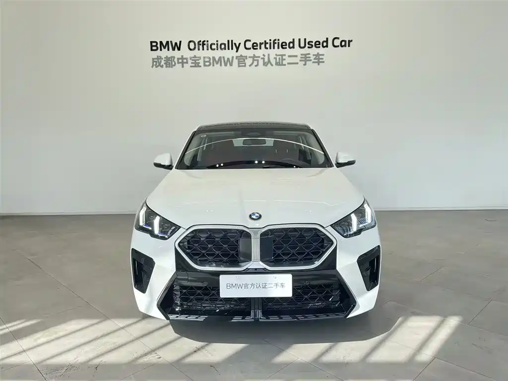 BMW X2 (Import) 2024 sDrive25i M Sport Package фото 4
