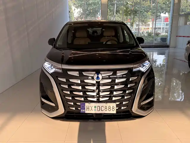  Denza Denza D9 2024 DM-i 980 AWD Flagship