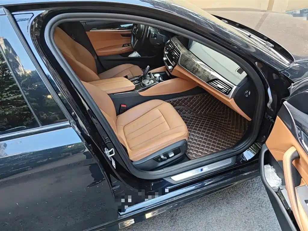 BMW 5 Series 2019 530Li Leading M Sport Package фото 20