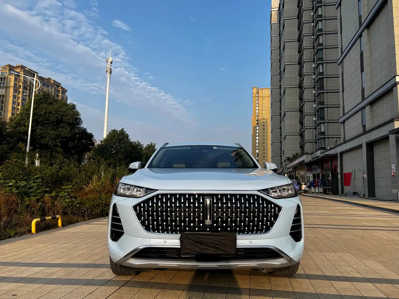 WEI PAI WEI BRAND MOCHA