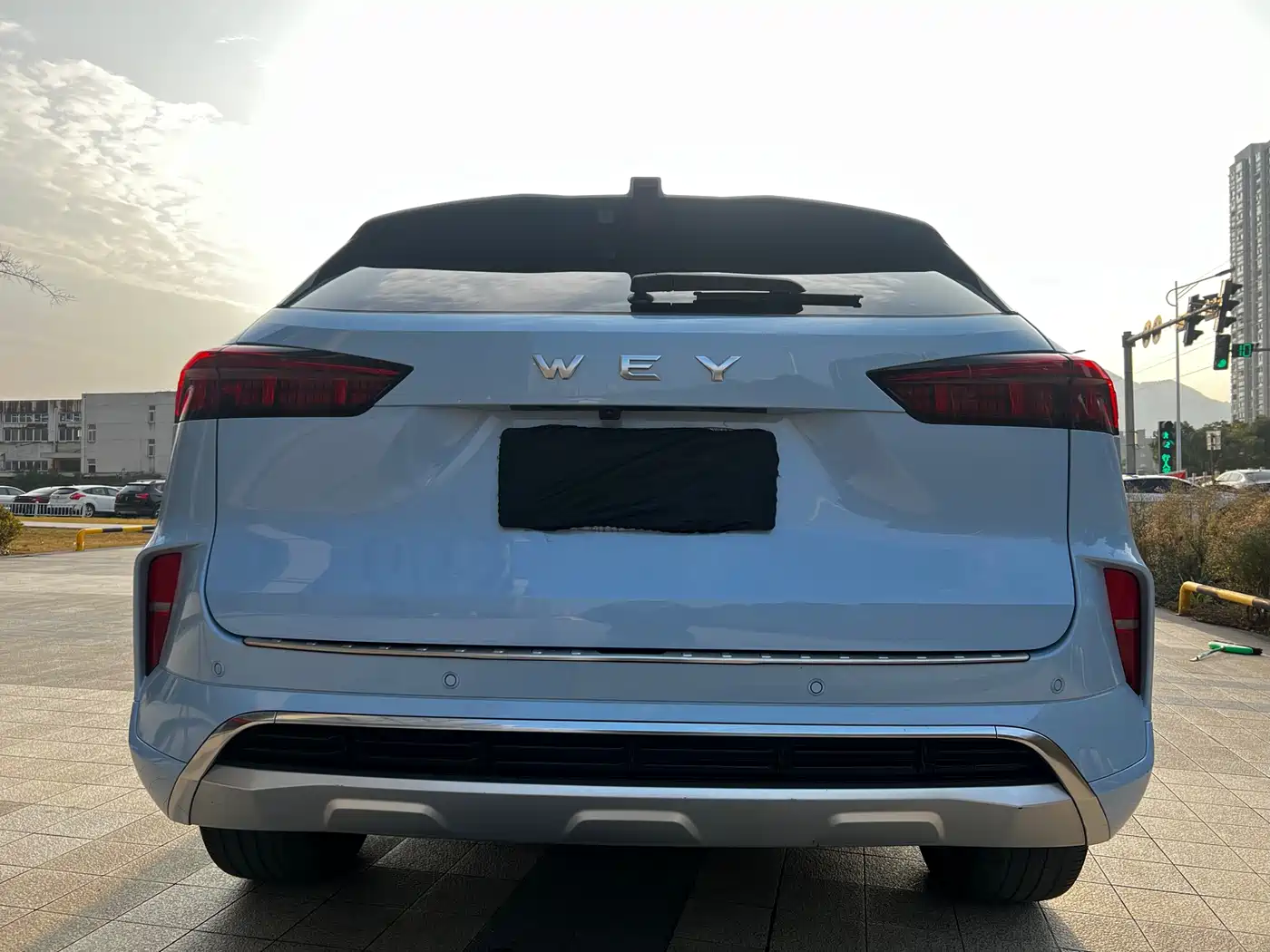 WEI PAI WEI BRAND MOCHA