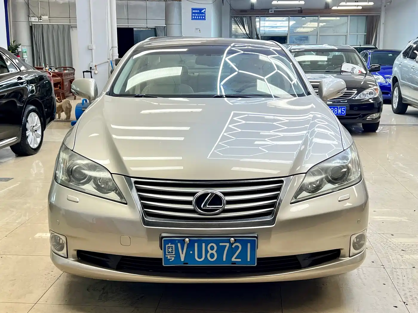 Lexus ES 2010 240 Luxury Edition фото 2