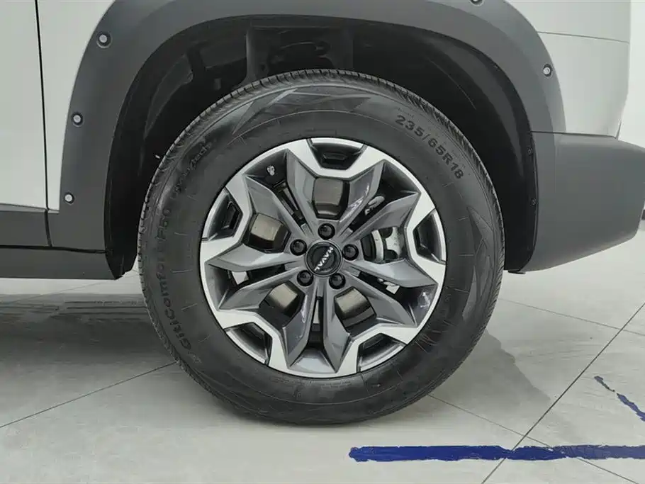 Haval Big Dog 2024 2.0T DCT Chinese Rural Dog Edition фото 6