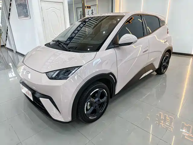 BYD Seagull Полёт