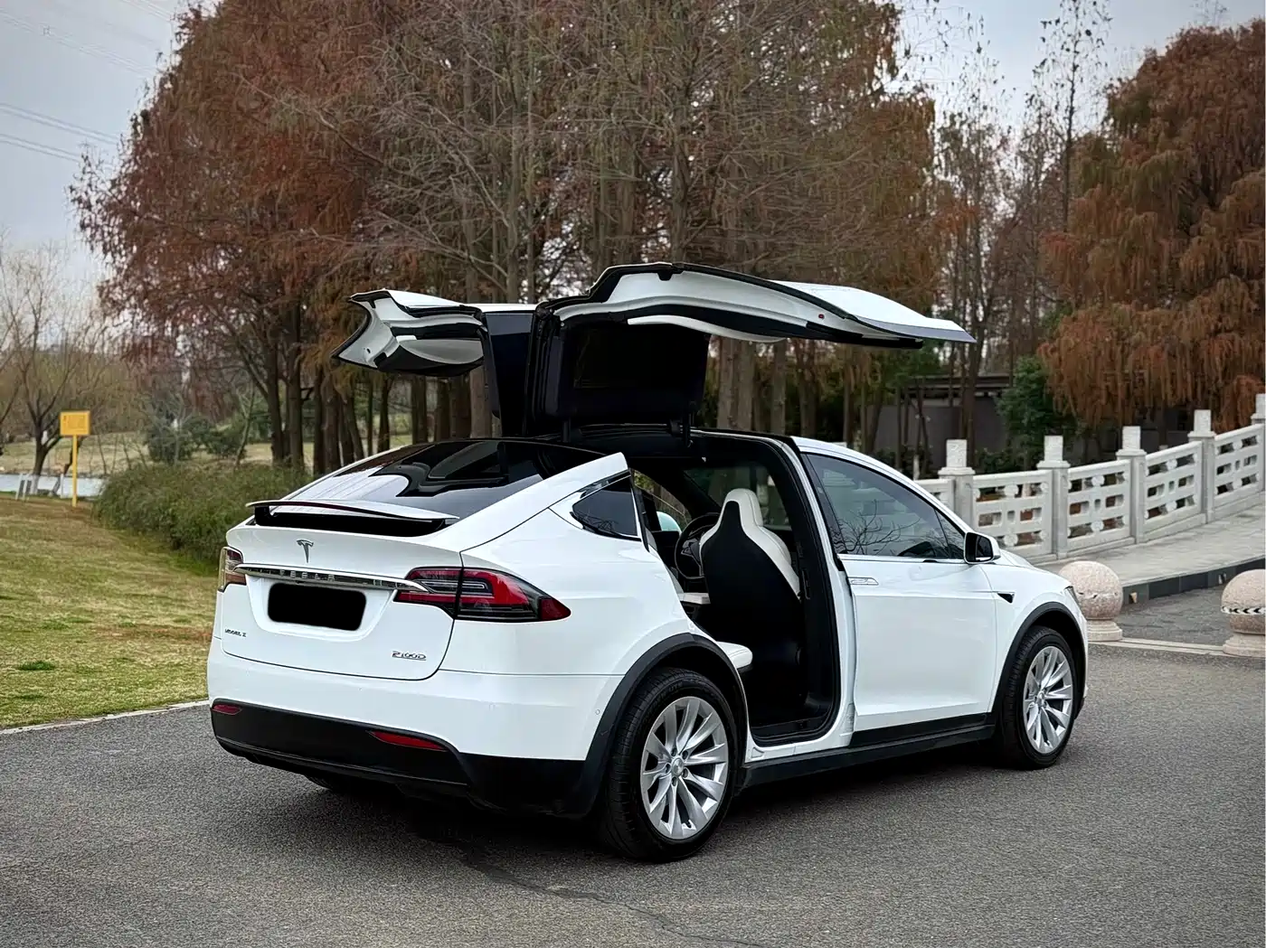 TESLA MODEL X