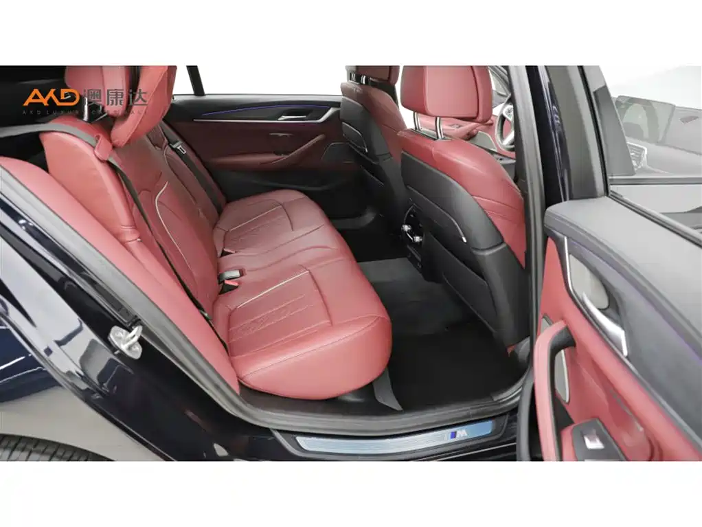 BMW 5 Series 2021 Facelift 530Li Premium M Sport Package фото 8