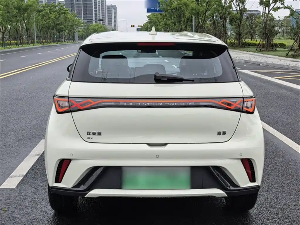 BYD Dolphin 2025 420km Freedom Edition фото 24