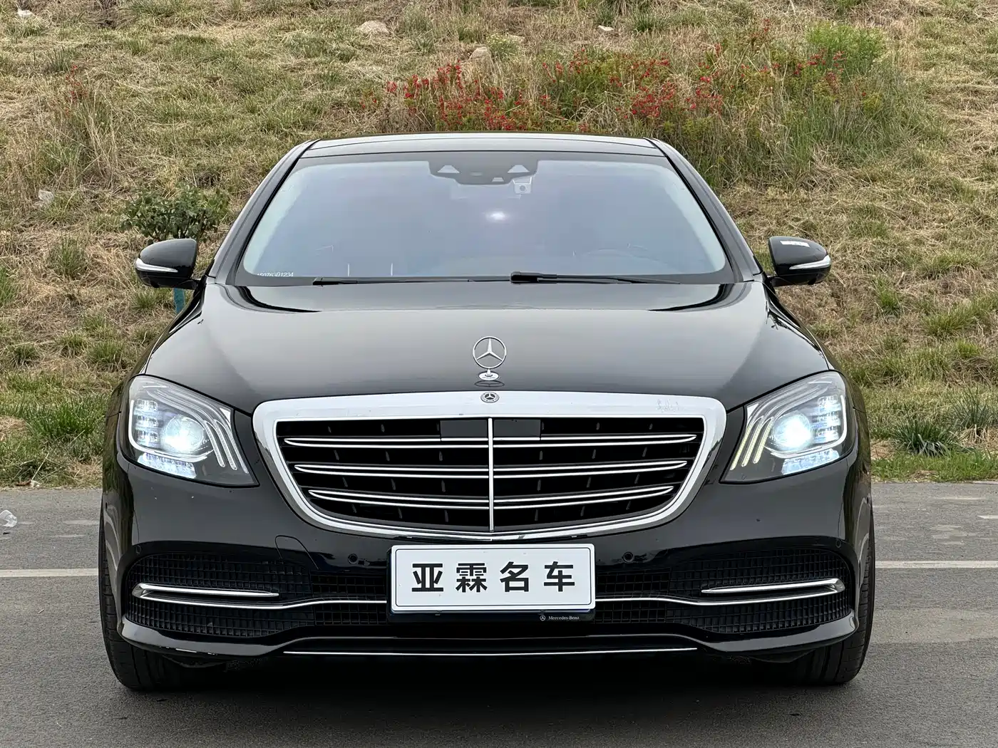 Mercedes-Benz S-Class 2018 S 350 L фото 2