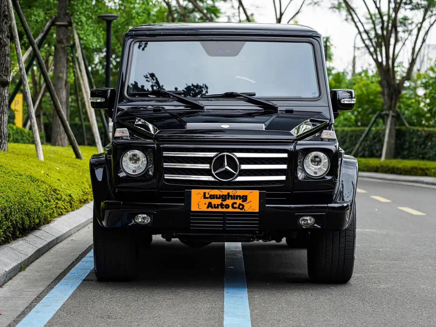 Mercedes-Benz G-Class AMG 2009 AMG G 55 фото 2