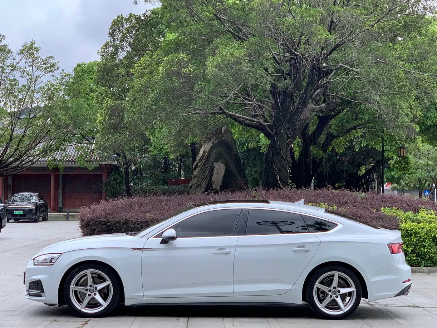 Фото 13 - Audi A5 (Import)