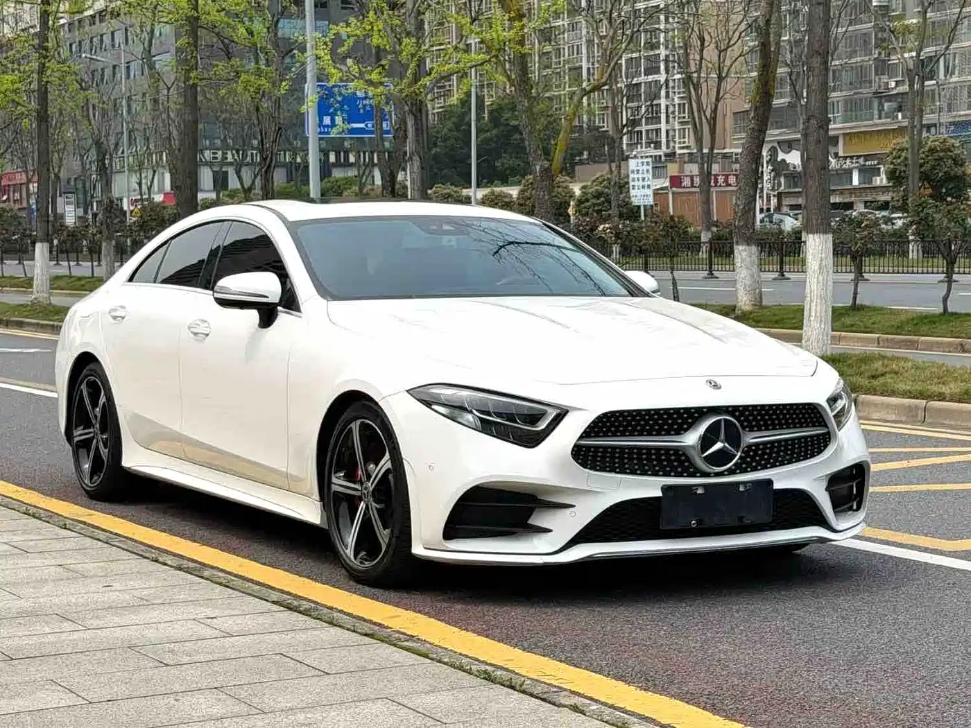 Mercedes-Benz CLS 2020 CLS 300 Luxury фото 3