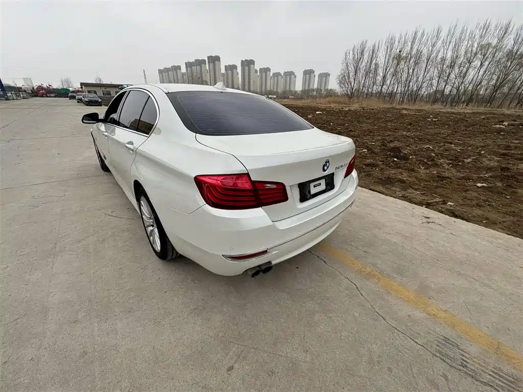BMW 5 Series 2014 525Li Luxury Design Package фото 5