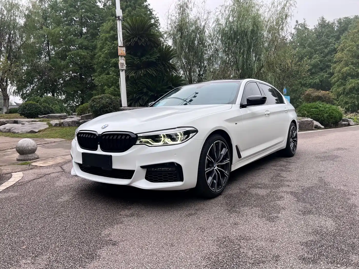 BMW 5 Series 2019 530Li Premium Luxury Package фото 3