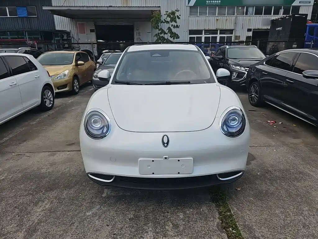 Ora Good Cat 2024 2024 401km Luxury