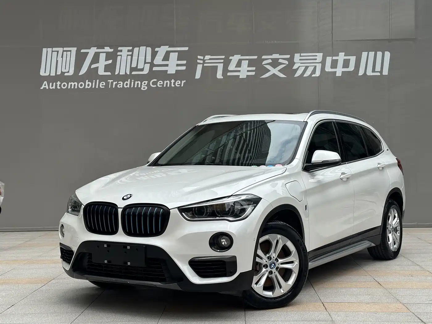 BMW X1 New Energy 2019 xDrive25Le Range Upgrade Edition фото 13