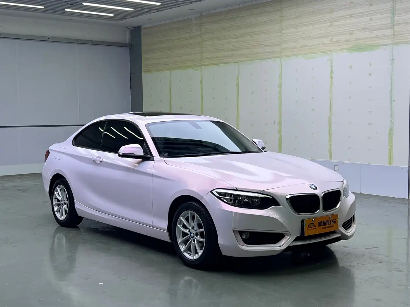 BMW 2 Series (Import) 2015 218i фото 3