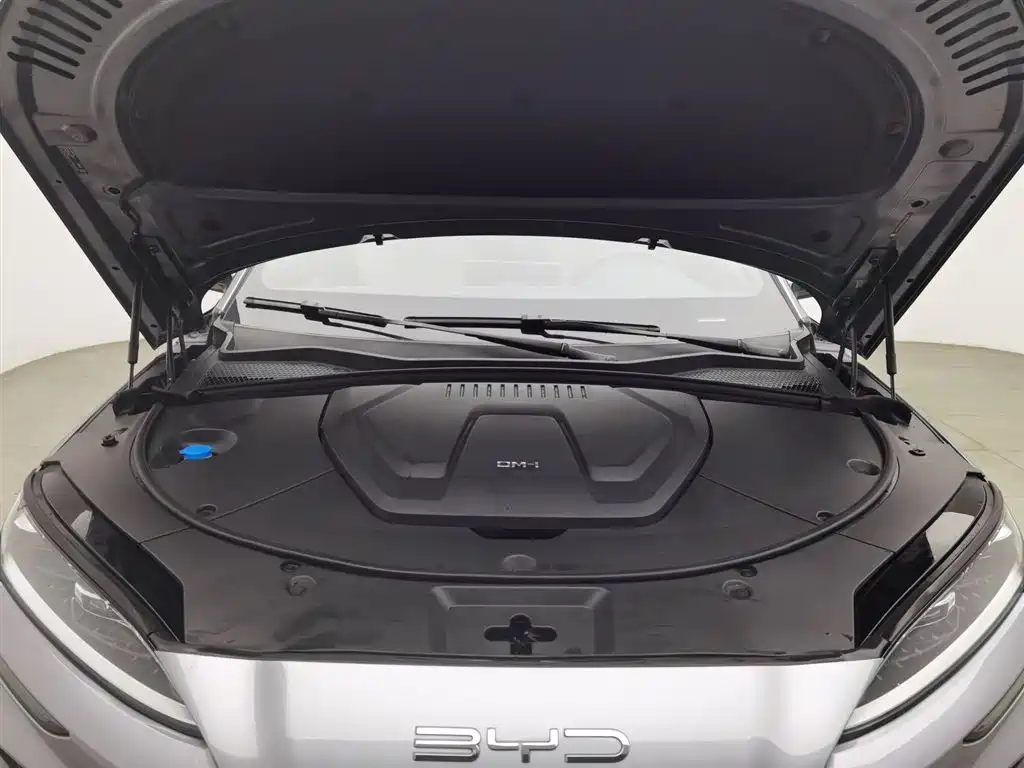 BYD SONGJIANG NEW ENERGY